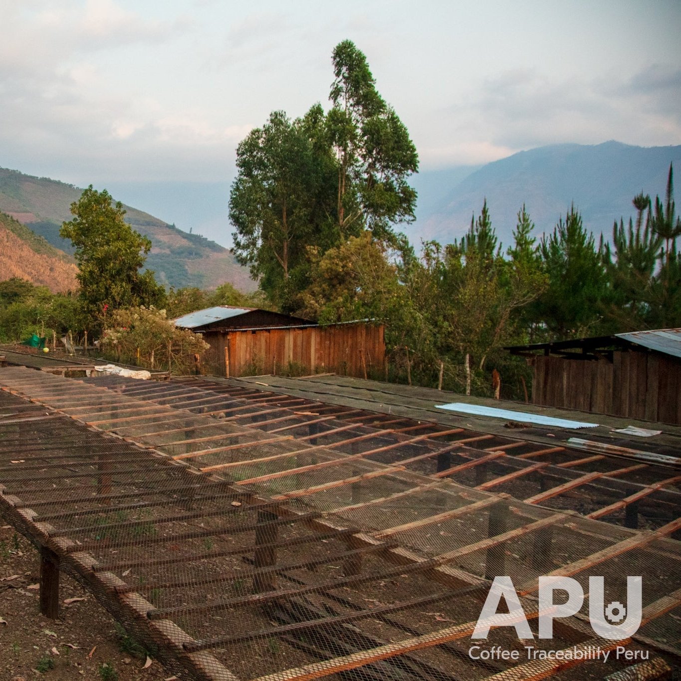 café de especialidad perú, Orosco, finca productores