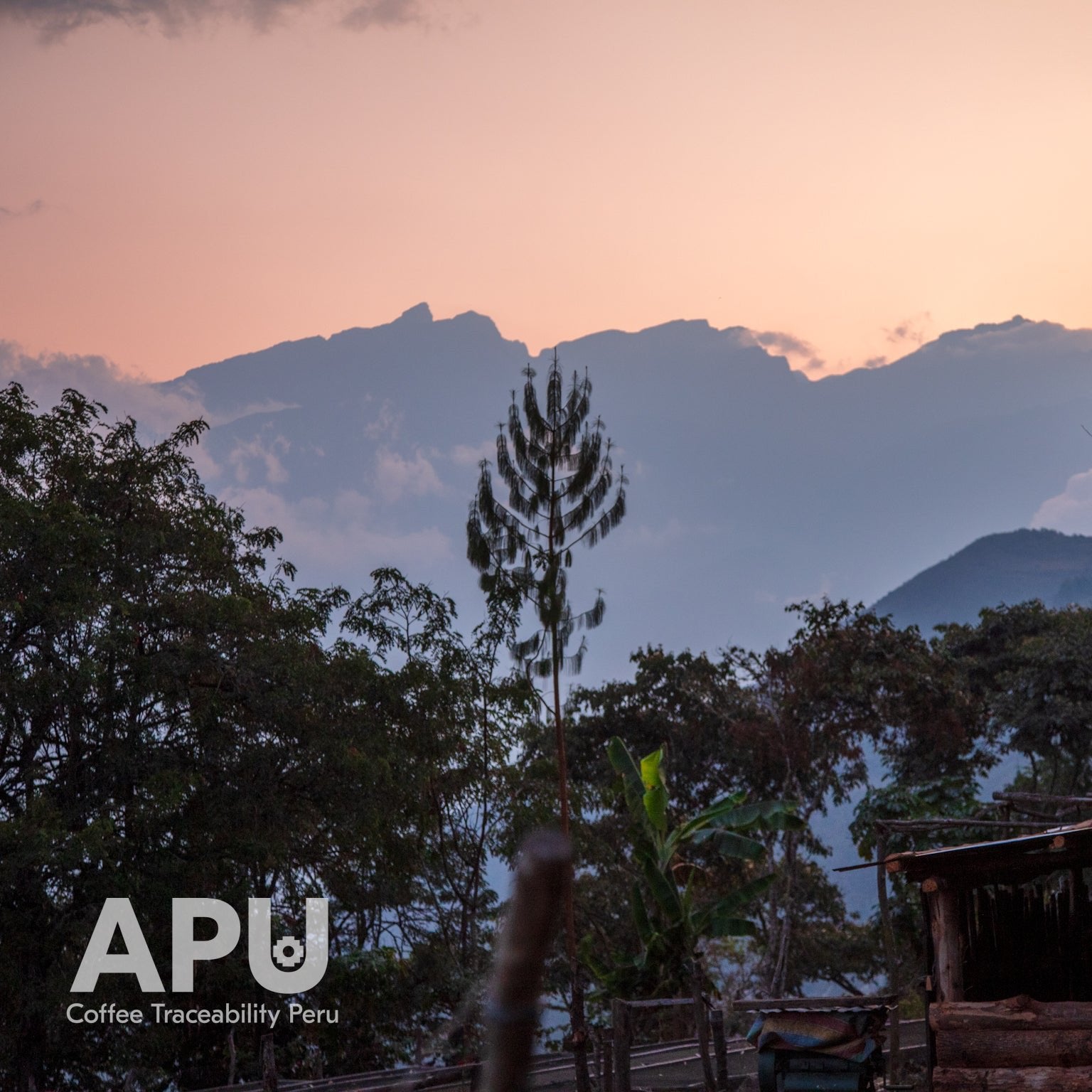 café de especialidad perú, Orosco, finca productores, paisaje